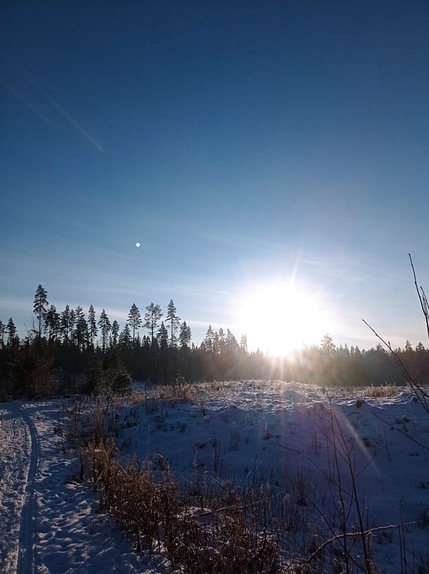 Фото 5 из отзыва о базе отдыха Ильичево