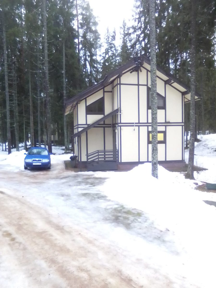 Фото 7 из отзыва о базе отдыха Ильичево