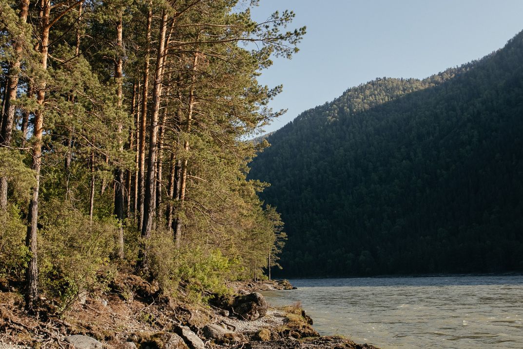 Алтерия, Горный Алтай (Республика Алтай): фото 3
