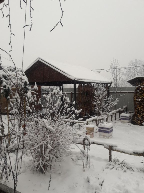 Гостевой дом Медвежий угол, Московская область: фото 2