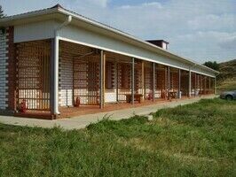 Стандартный номер, Рыболовно-охотничья база Нижнее Займище, Черноярск