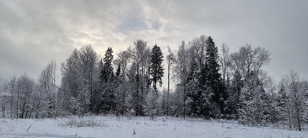 Парк Север, Московская область: фото 5