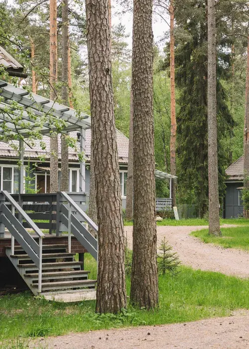 Искатель, Ленинградская область: фото 4