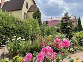 Четырёхместный коттедж 2 пары односпальных кроватей, Гостевой дом Lobnya Village, Лобня