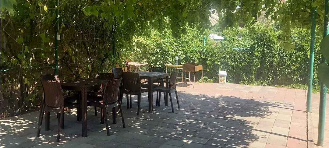 Фрегат, Крым: фото 3