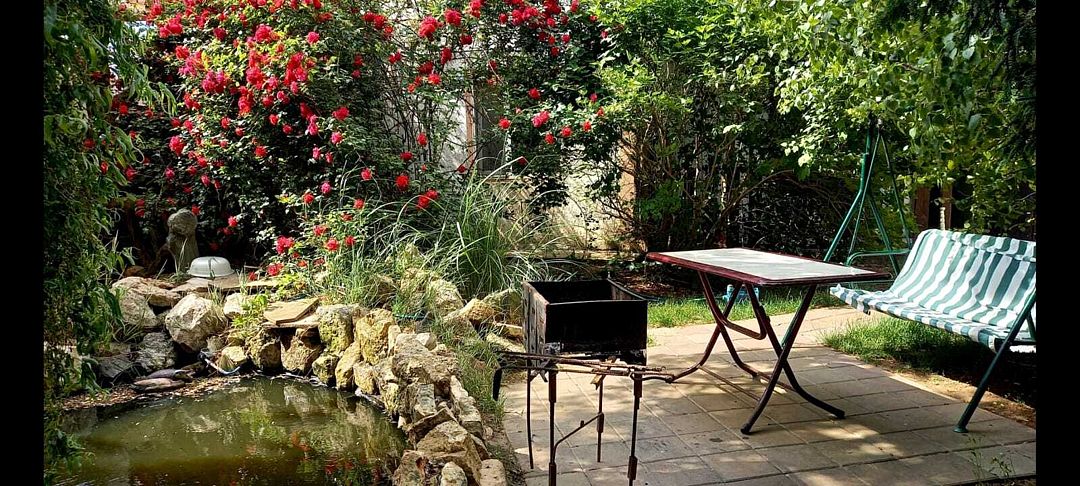 Фрегат, Крым: фото 2