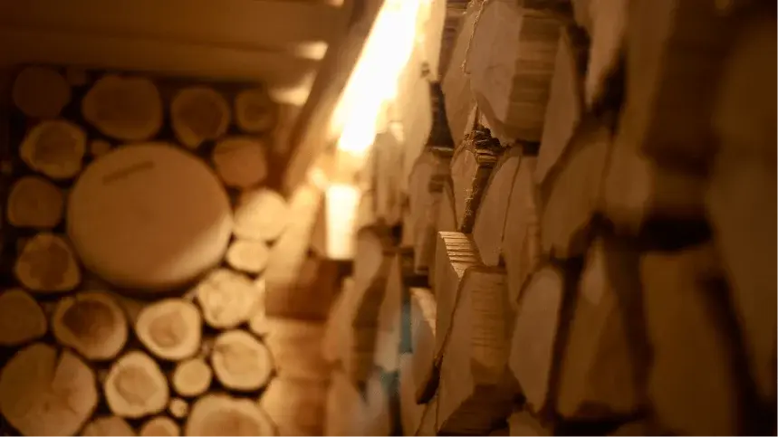 Минем Ранчо, Республика Татарстан: фото 3