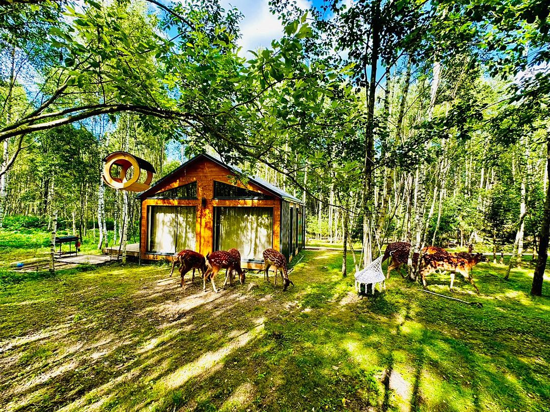 Агротуристический комплекс Оленья ферма Бэмби Лэнд, Волоколамск, Московская область