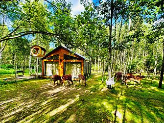 Агротуристический комплекс Оленья ферма Бэмби Лэнд