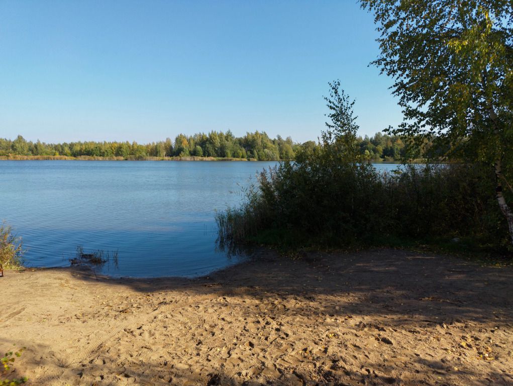 База отдыха Ёлки Низино, Ленинградская область: фото 5