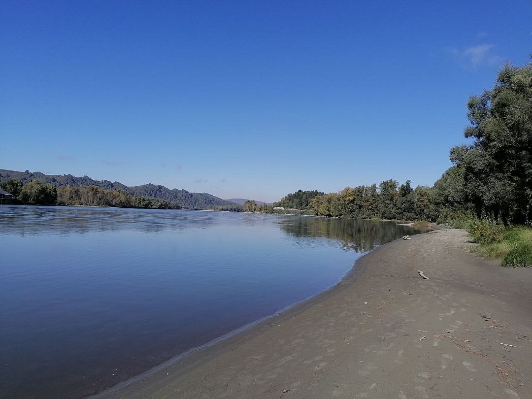 Река Катунь возле гостевого дома