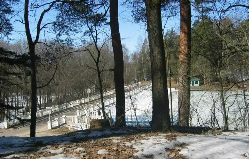 Снегири, Московская область: фото 3