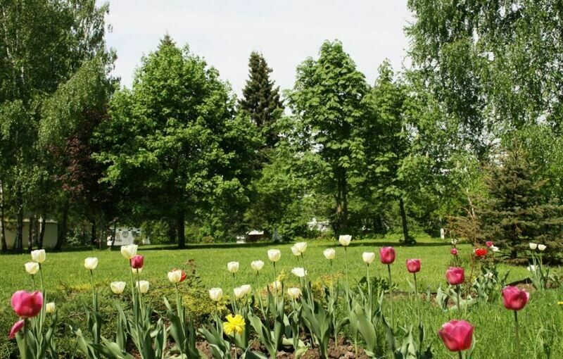 Снегири, Московская область: фото 4