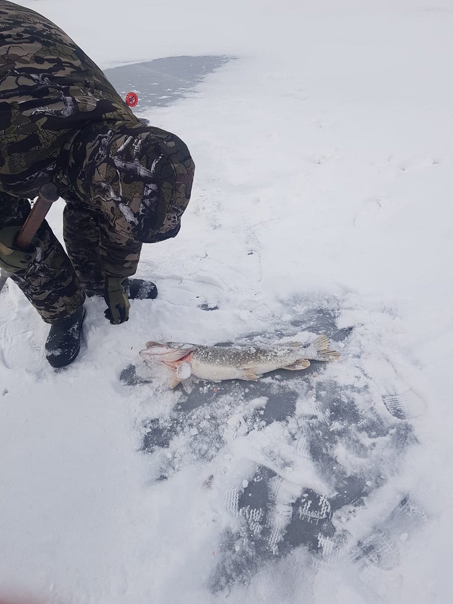 Фото 161 из отзыва о базе отдыха Донская Миля