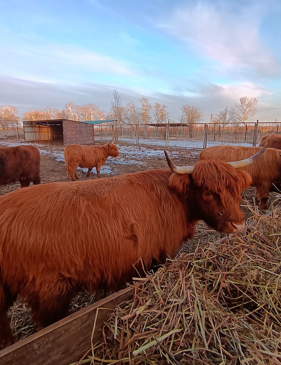 Фото 162 из отзыва о базе отдыха Донская Миля