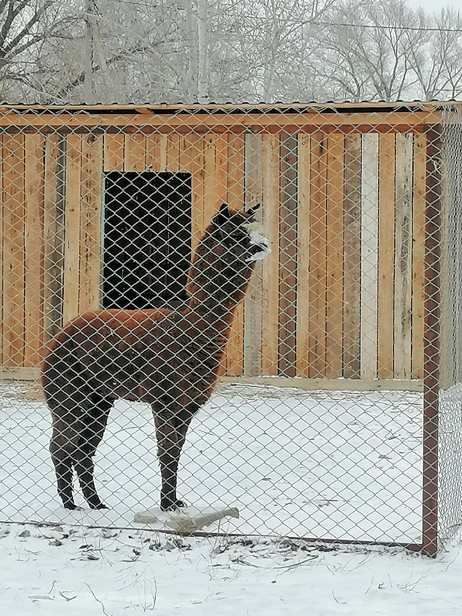 Фото 168 из отзыва о базе отдыха Донская Миля