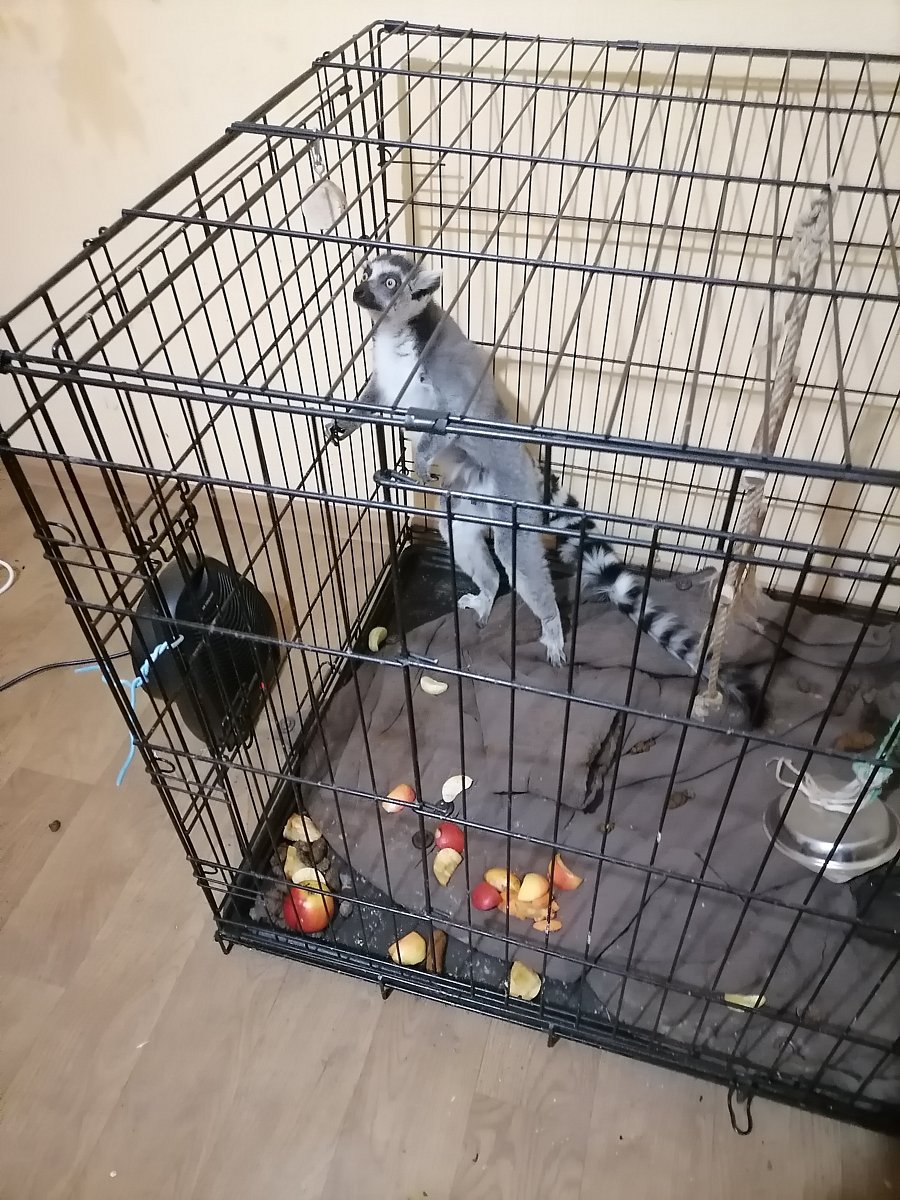 Фото 165 из отзыва о базе отдыха Донская Миля