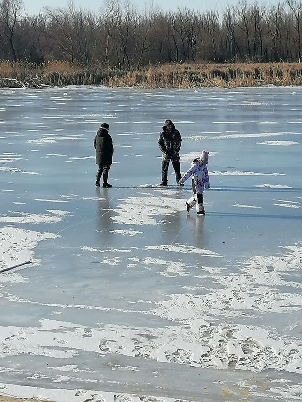 Фото 8 из отзыва о базе отдыха Донская Миля