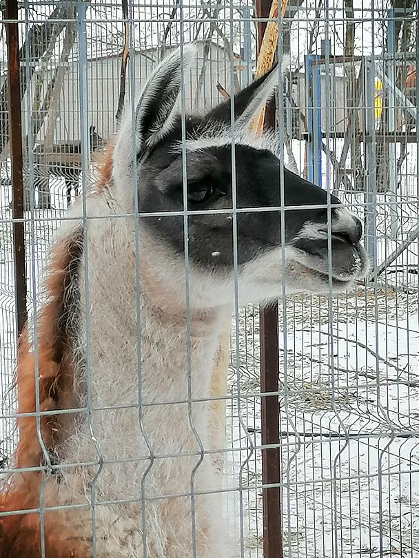 Фото 6 из отзыва о базе отдыха Донская Миля