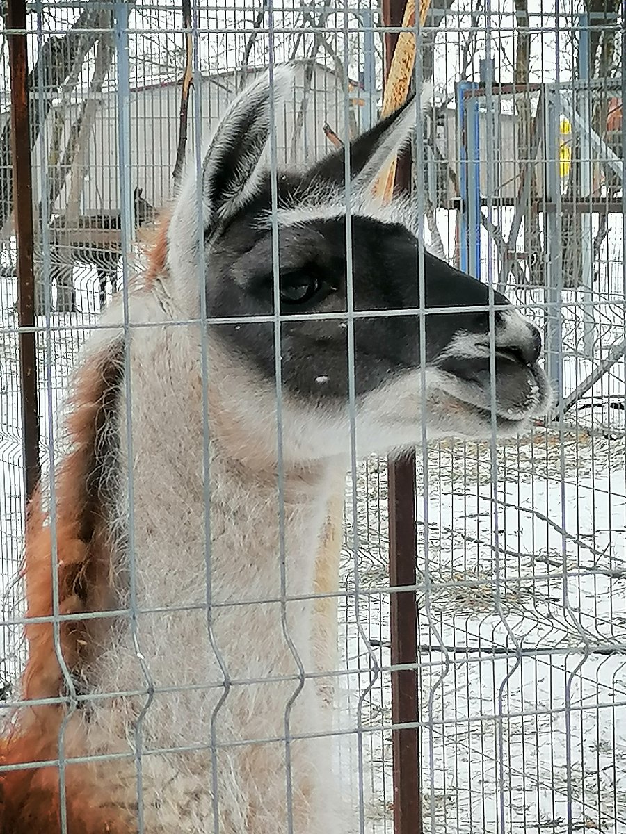 Фото 169 из отзыва о базе отдыха Донская Миля