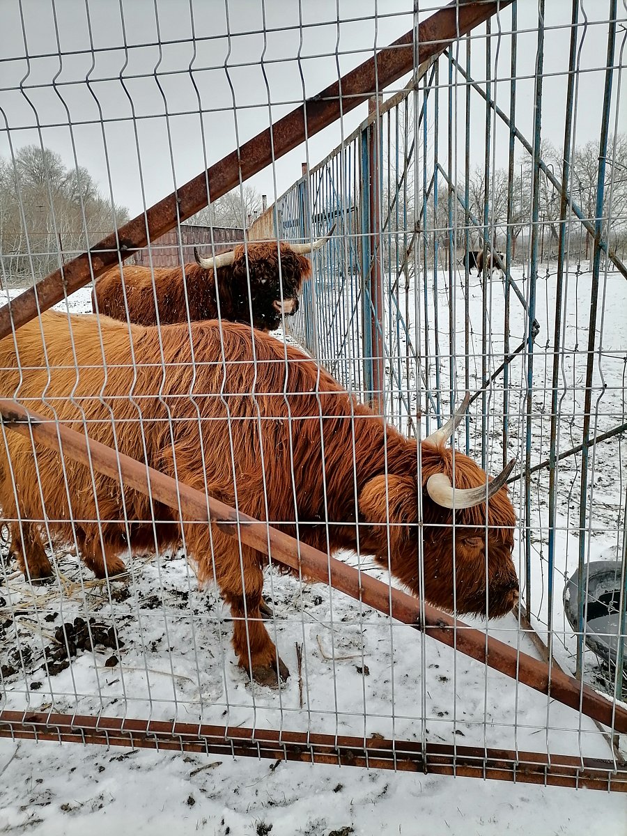 Фото 164 из отзыва о базе отдыха Донская Миля