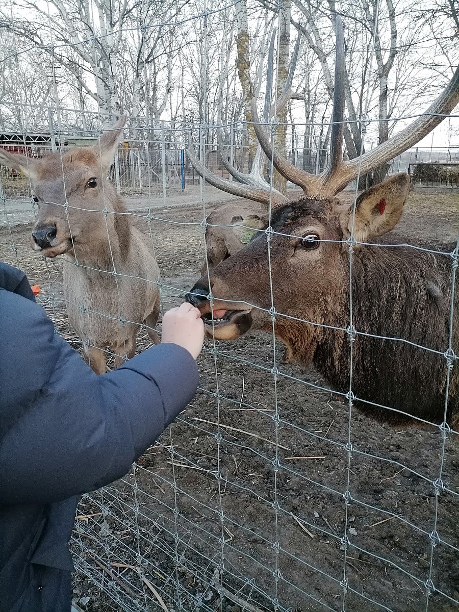 Фото 166 из отзыва о базе отдыха Донская Миля