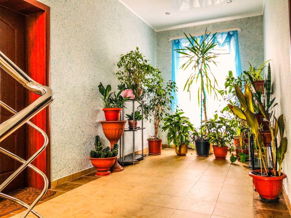 Гостевой Дом Дарина, Московская область: фото 4