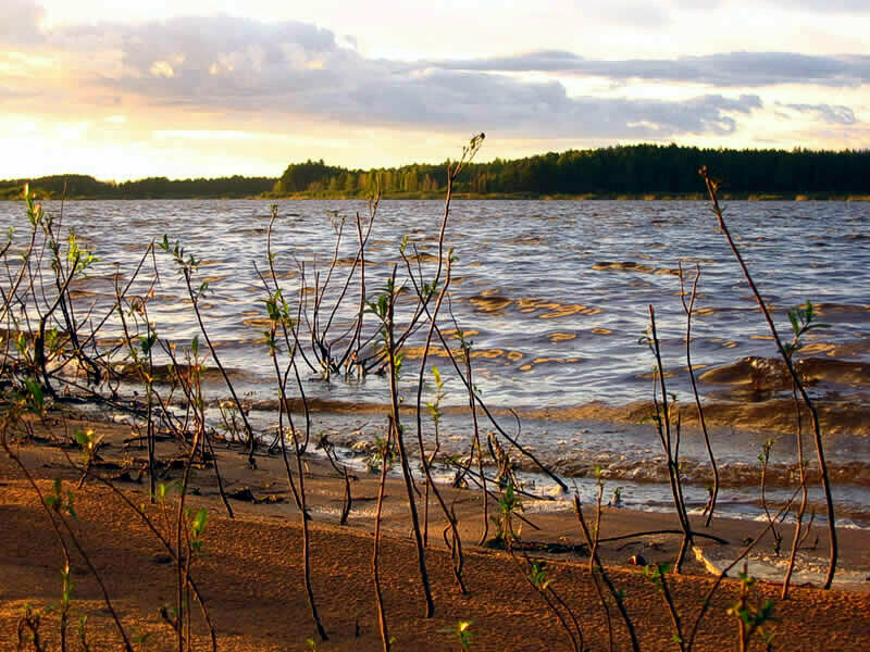 Весьегонский остров, Тверская область: фото 2
