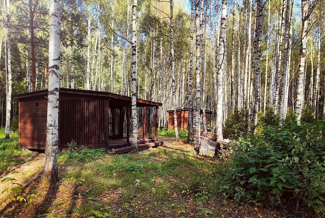 Форестер, Ярославская область: фото 4