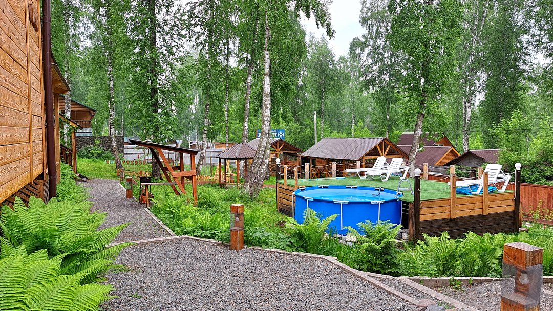 Цвет папоротника , Алтайский край: фото 2