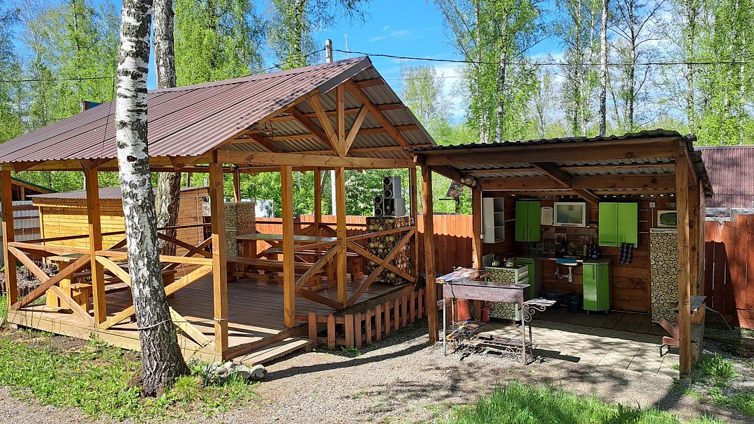 Цвет папоротника , Алтайский край: фото 5