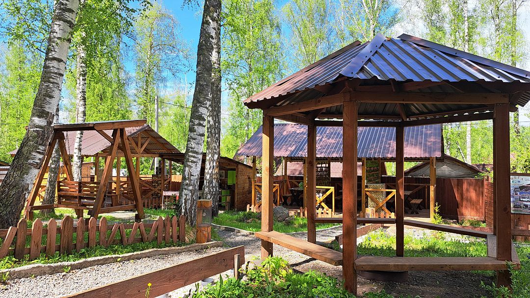 Цвет папоротника , Алтайский край: фото 4