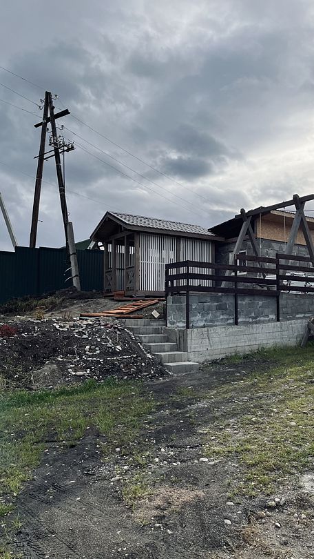 Катунская синица, Горный Алтай (Республика Алтай): фото 5