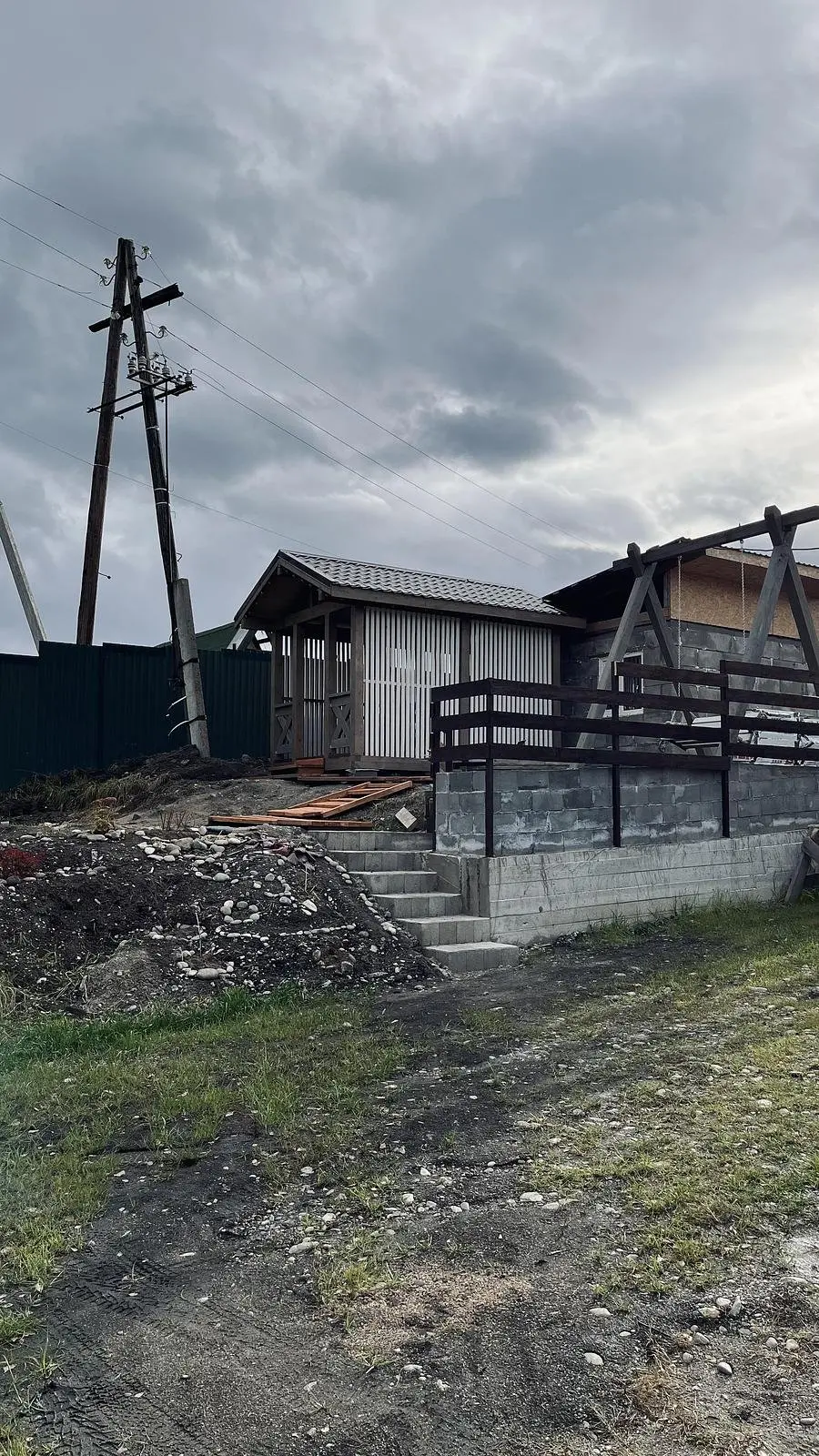 Катунская синица, Горный Алтай (Республика Алтай): фото 5