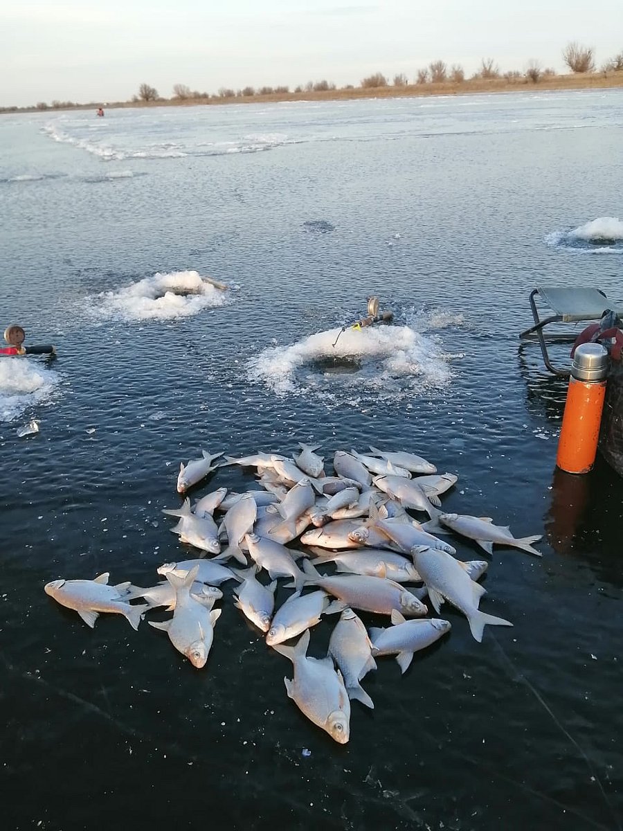 Фото 2 из отзыва о рыболовной базе Наша Фазенда