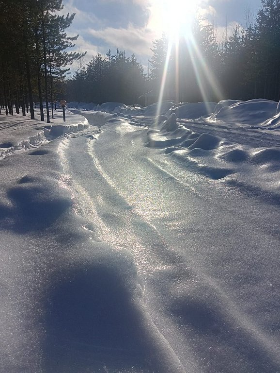 Фото из отзыва от 24.02.2025