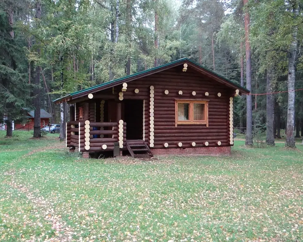 Тихий лес, Республика Удмуртия: фото 2