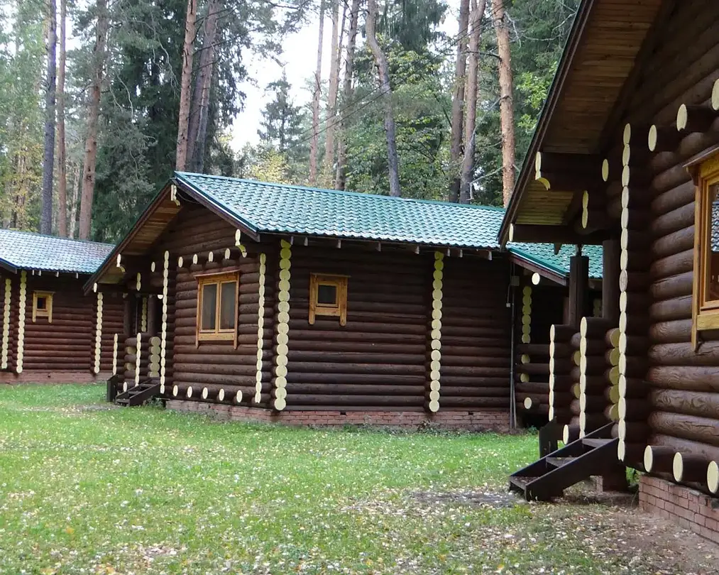 Тихий лес, Республика Удмуртия: фото 4