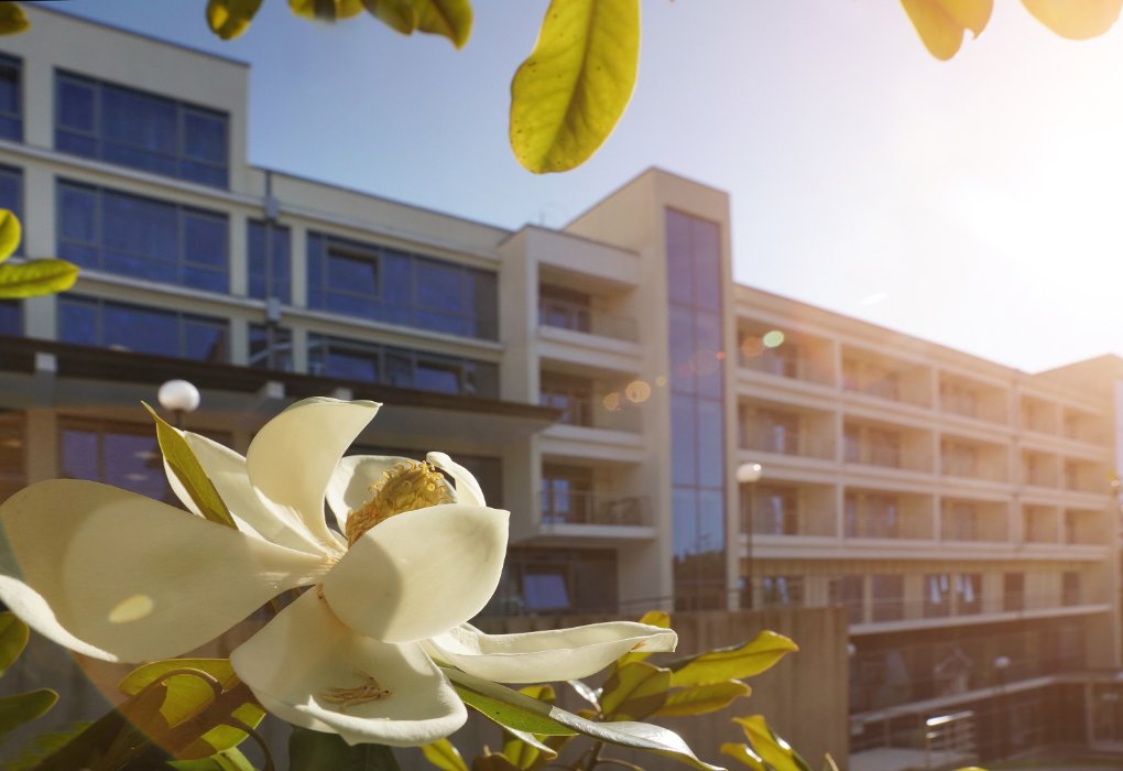 Санаторий Радуга , Краснодарский край, Сочи 