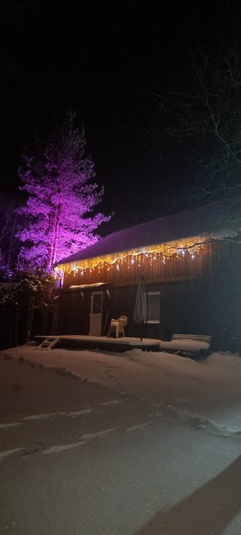 Пихта с баней, Республика Карелия: фото 3