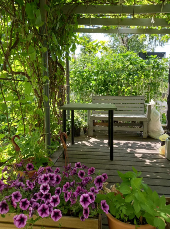 на Чапаева 5, Нижегородская область: фото 4