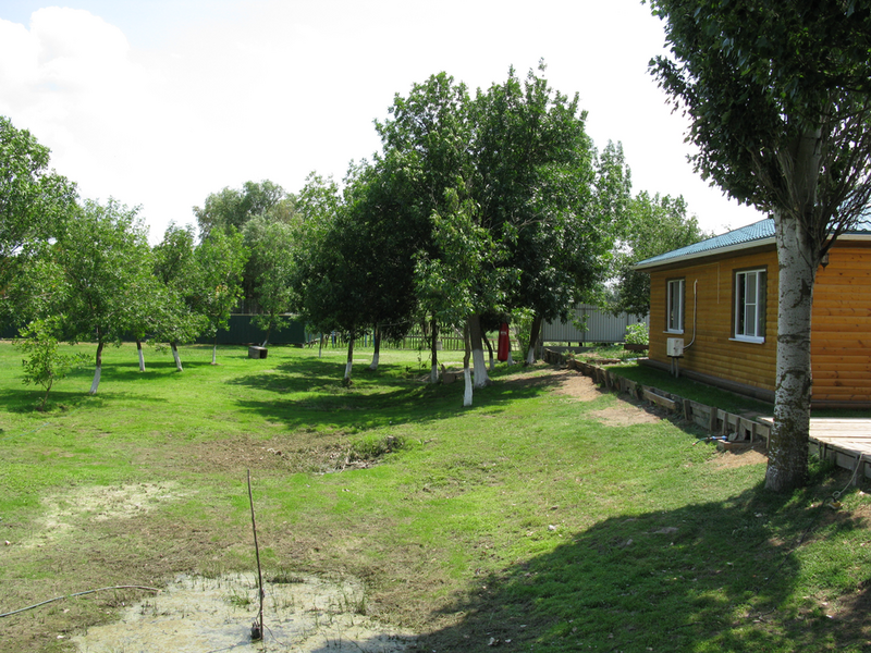 Зелёный остров 54, Астраханская область: фото 5