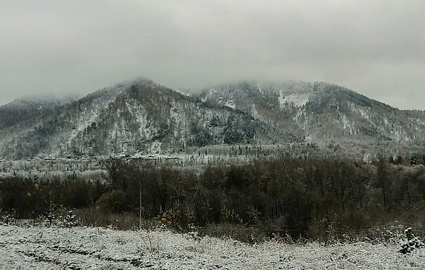 Горная , Алтайский край: фото 2