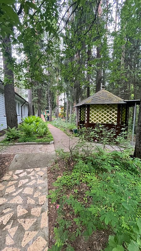 В лесу, Кировская область: фото 4