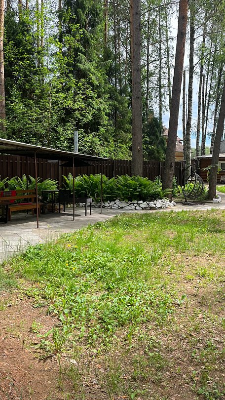 В лесу, Кировская область: фото 5