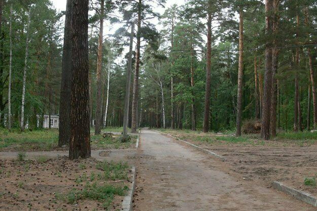 Турбаза Раздолье, Ульяновская область, Архангельское Старая Майна Старомайнский район Чердаклинский район