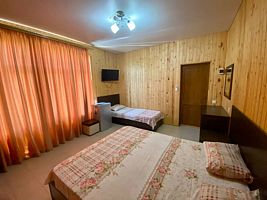 Трёхместный номер Standard, Гостевой дом Каролина, Гагра