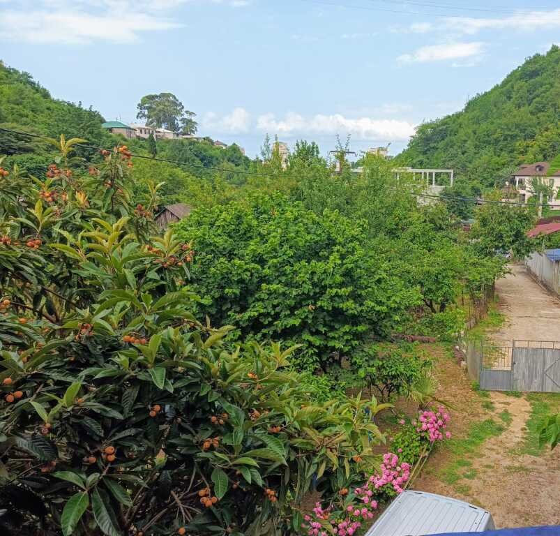 Частный дом Тихий уголок, Гагрский район: фото 4