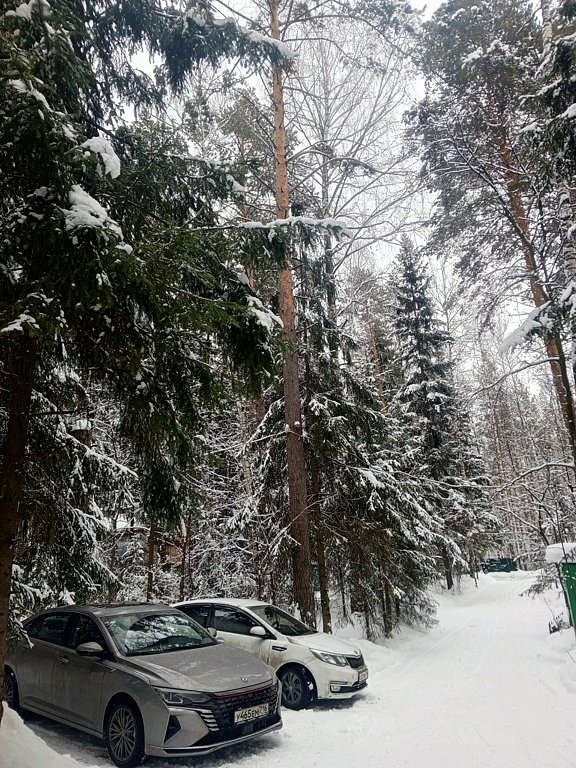 Фото из отзыва от 08.03.2025