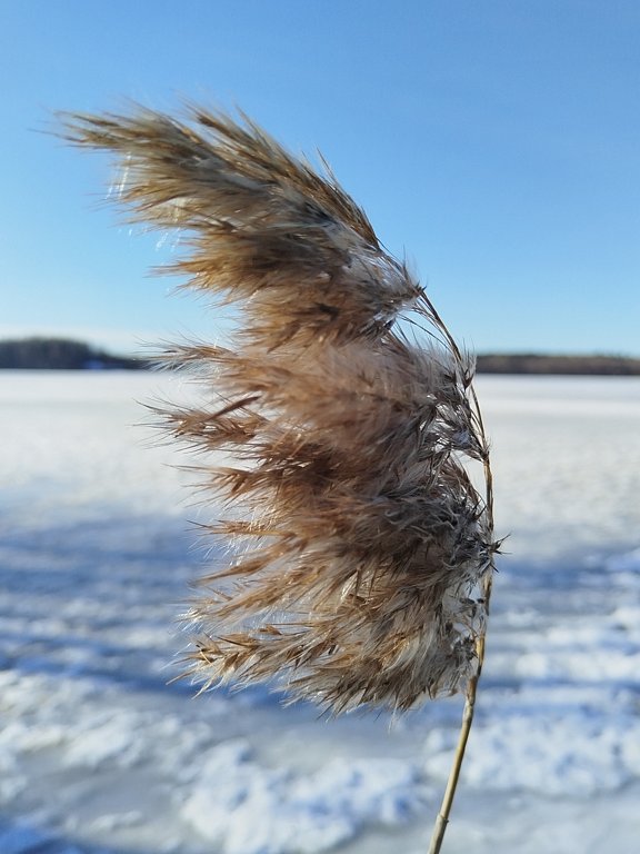 Фото из отзыва от 07.03.2025